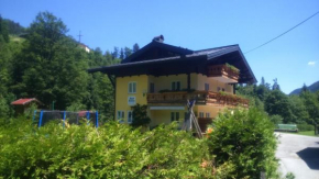 Гостиница Haus Rosina  Мюльбах-Ам-Хохкёниг